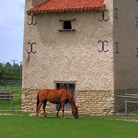 Panzió D'hotes Ondine Et Igor Saint-Marcellin-en-Forez